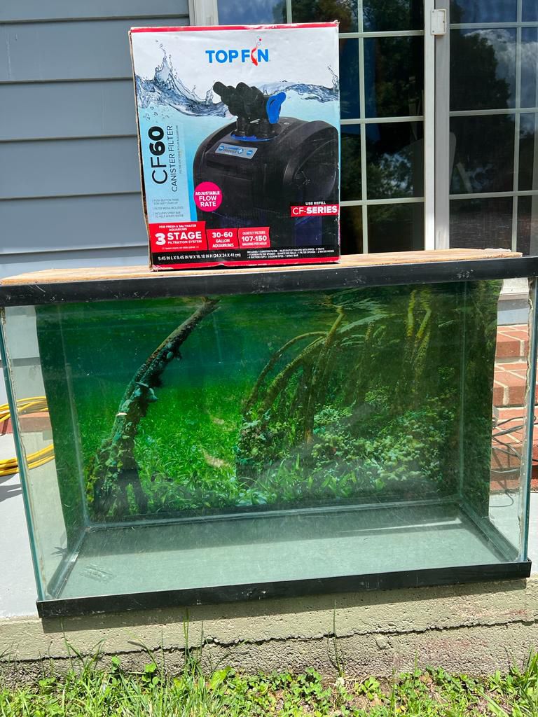 Fish Tank For Sale 55 Gallons included Water Filter 