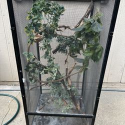 Lrg Chameleon Cage W/ Accessories