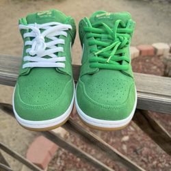 Nike Sb Dunk Size 11