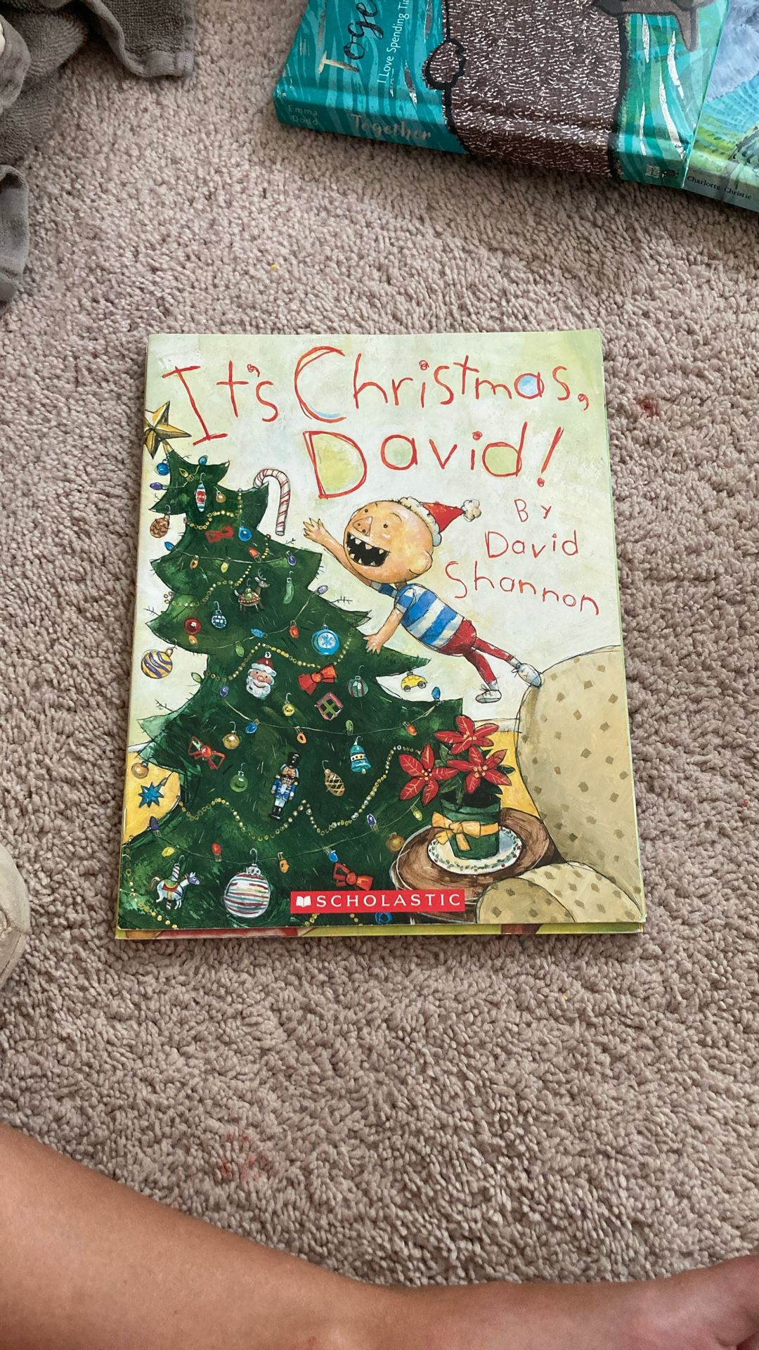 No David Books
