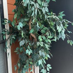 2 Fake Patio Plants/trees For Pick Up Only