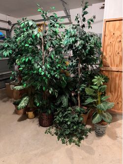 HUGE Assorted Artificial Plant & Tree Bundle – Home Decor – Must Go!