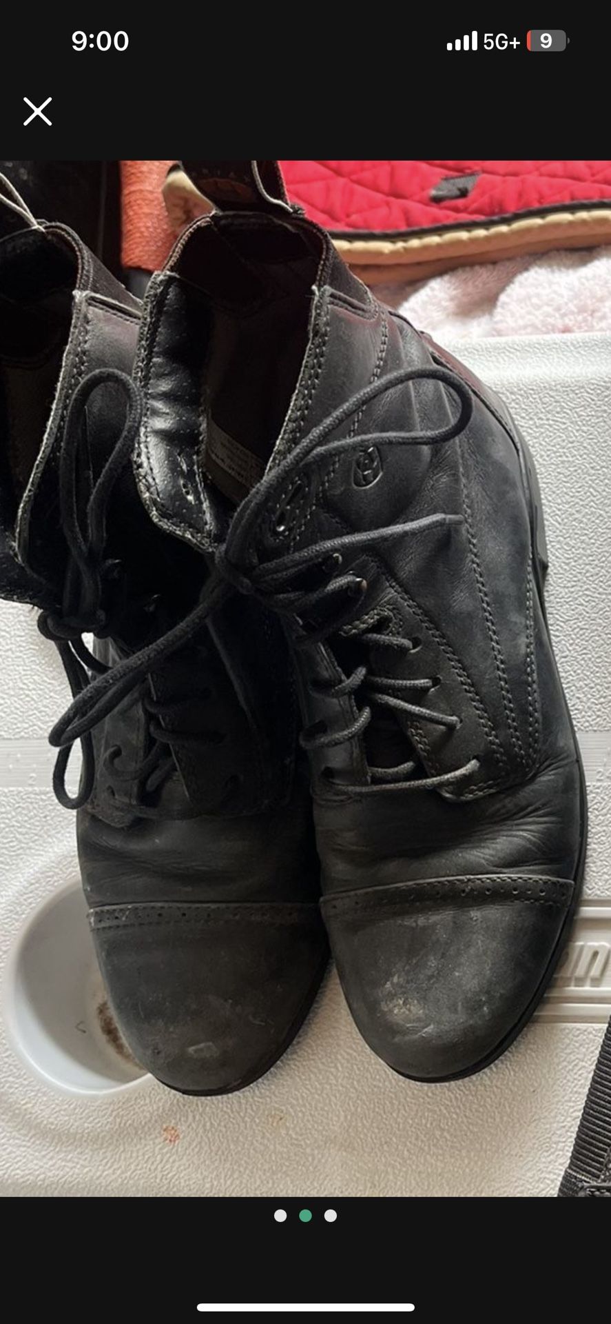 Ariat Chaps & Boots
