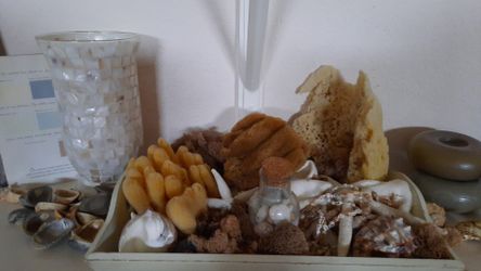 Genuine sea sponge on tray with candles and holder