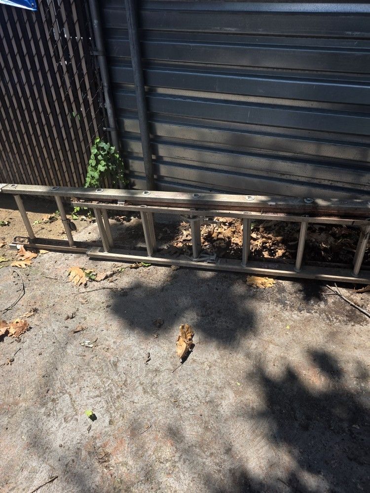 Ladder For Sale