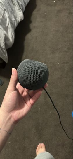 Speaker