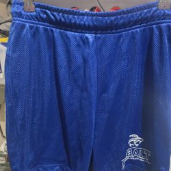 Free Cobalt Polos Cobalt Shorts Cobalt Sweat Pants