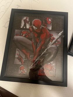 Spider-Man canvas