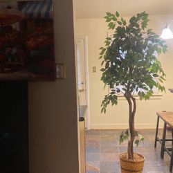 Tall Stand Up Flowers