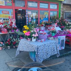 Flowers/rose Bears And More