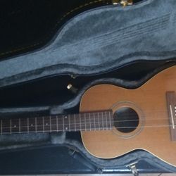Seagull Coastline Grand Acoustic Guitar