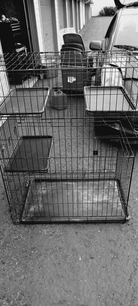 Animal Cage,bird,kitten,rabbit