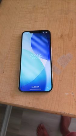 iPhone 12 Pro Max (cannot Activate Services)