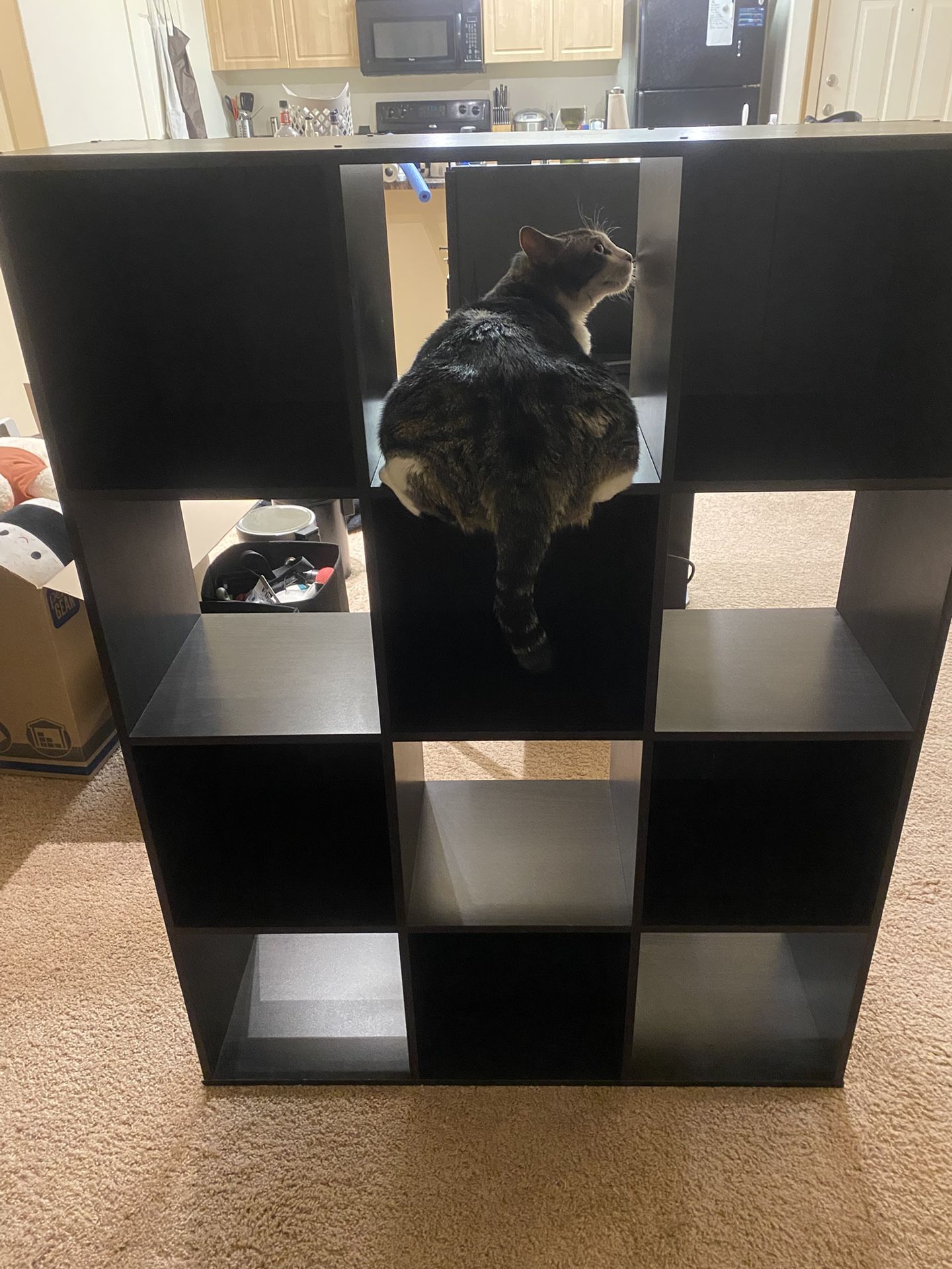 Target Cube 3x4 Shelves