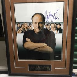 James Gandolfini Signed 16x20 With Coa Matted And Framed