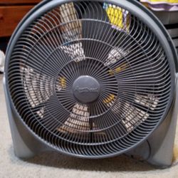 Fan