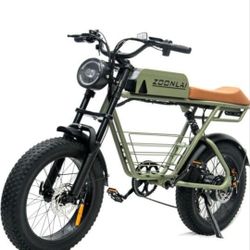 Electric Cruiser Bike 1000W 30MPH 