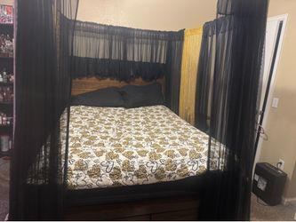 Queen bed frame and canopy