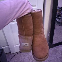 Uggs Size 6