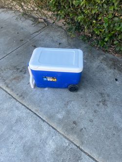 Igloo 38 Qt Wheeled Cooler