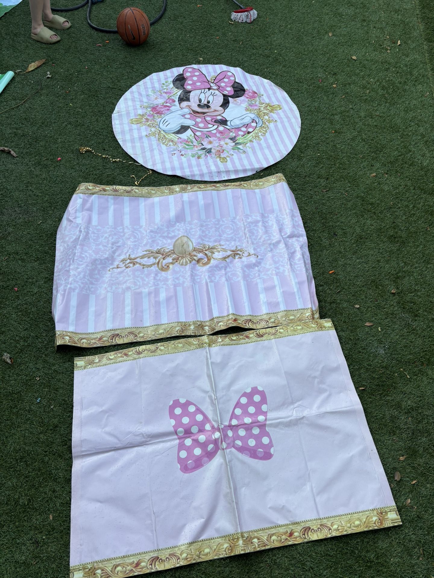 Minnie Mouse Theme Backdrop