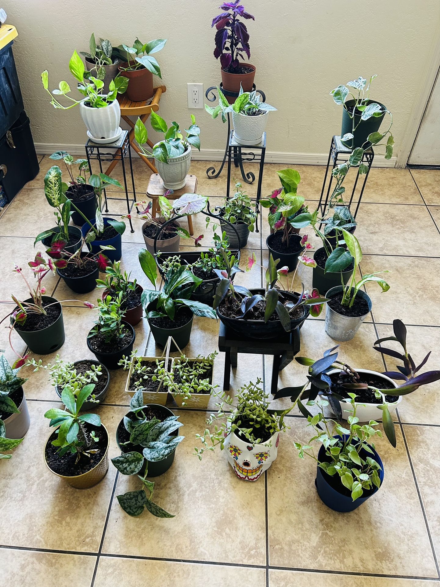 Plans For Sale 10 Each