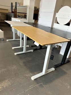 48 x 24 Electric Standing Desk with Bamboo Top
