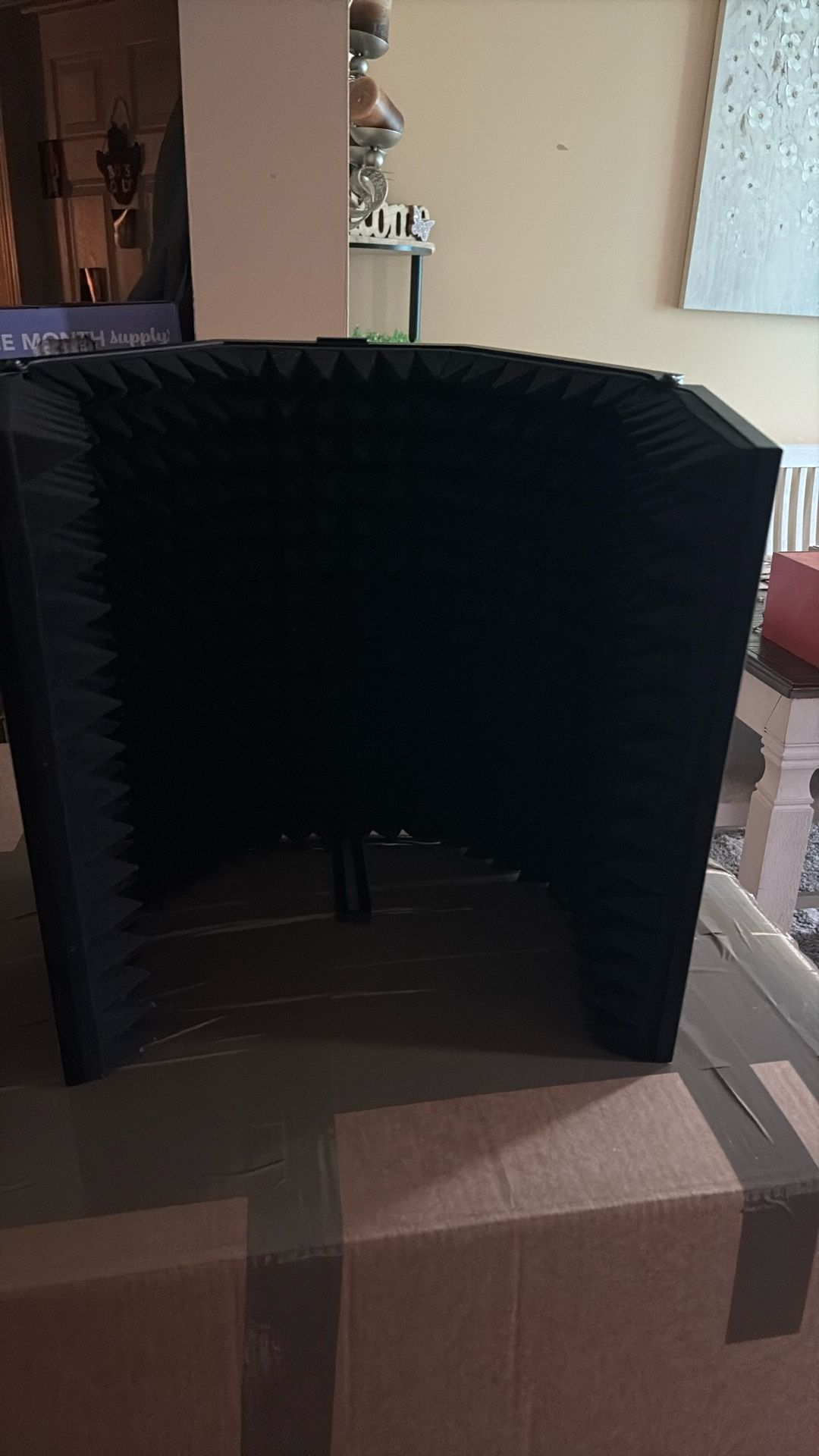 Pop Filter