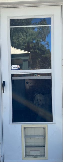 Storm Door with small doggie door