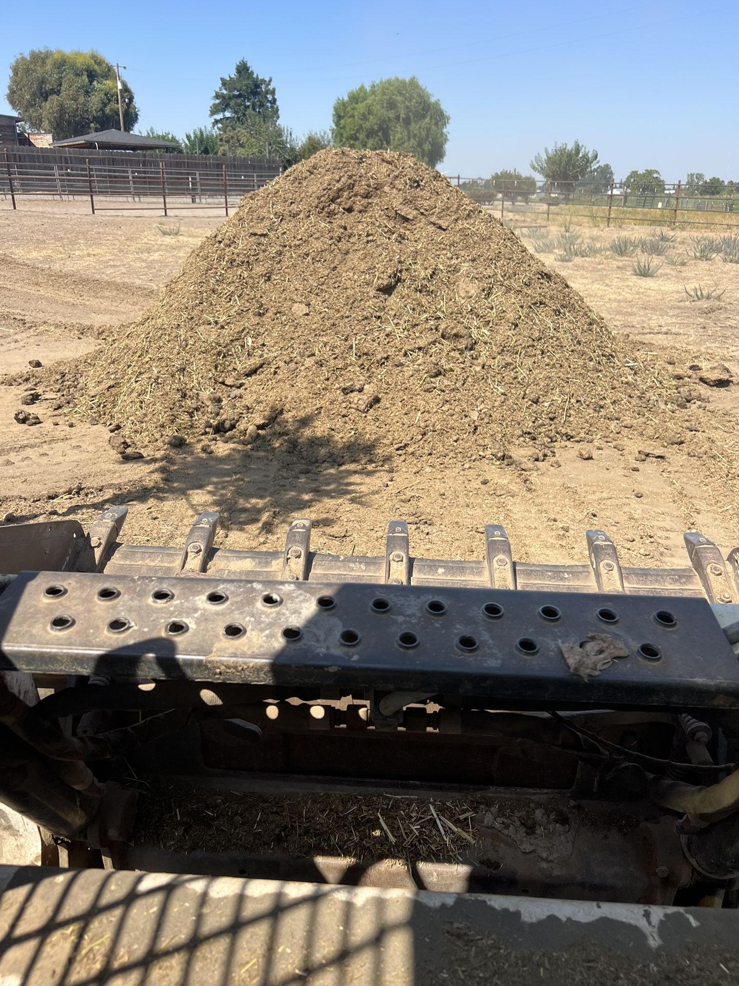 Free Horse Manure