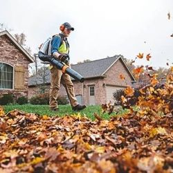 Leaf And Debris Clean Up