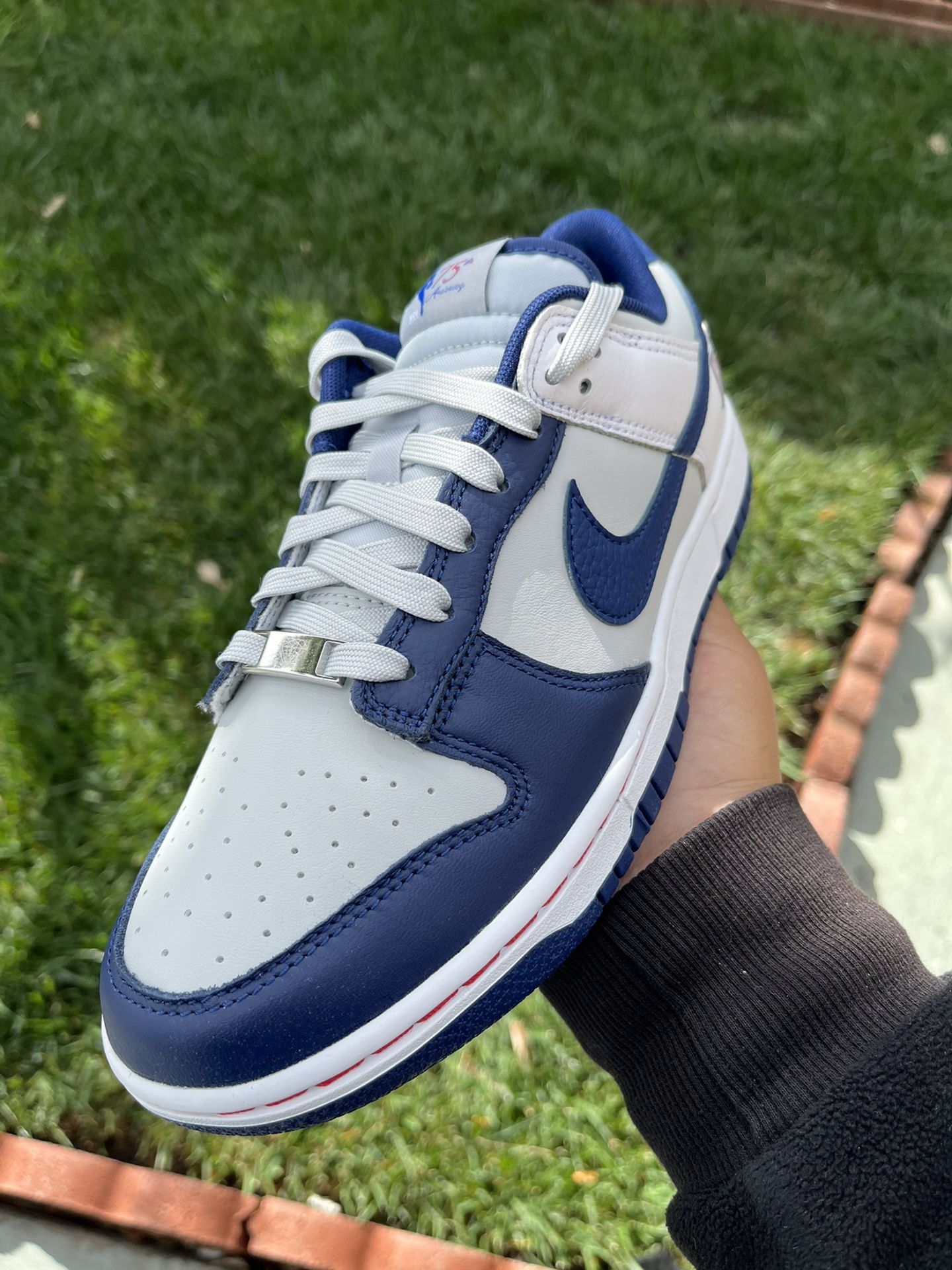 nike dunk retro nets