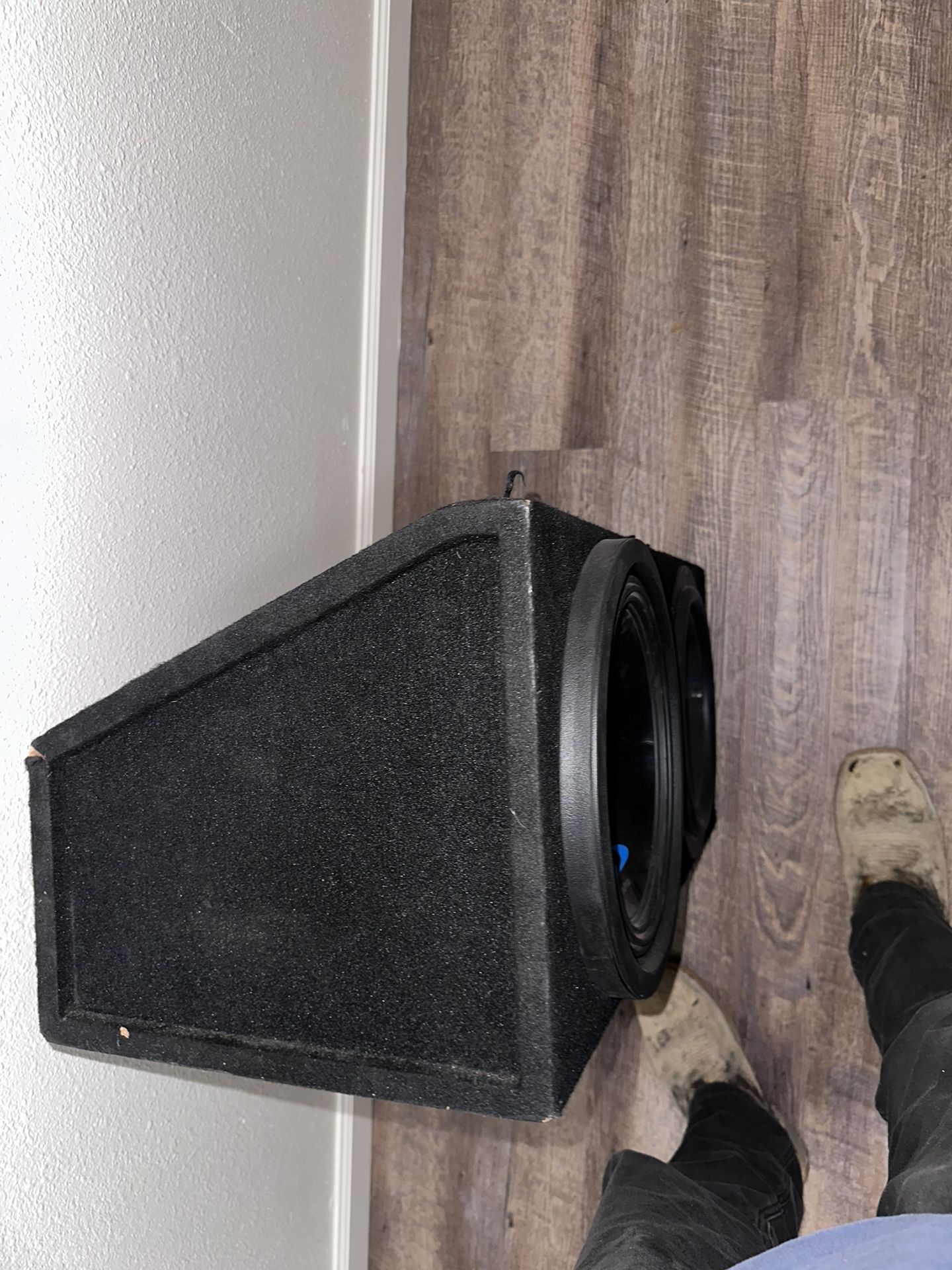 Two 12 Inch Subwoofer System