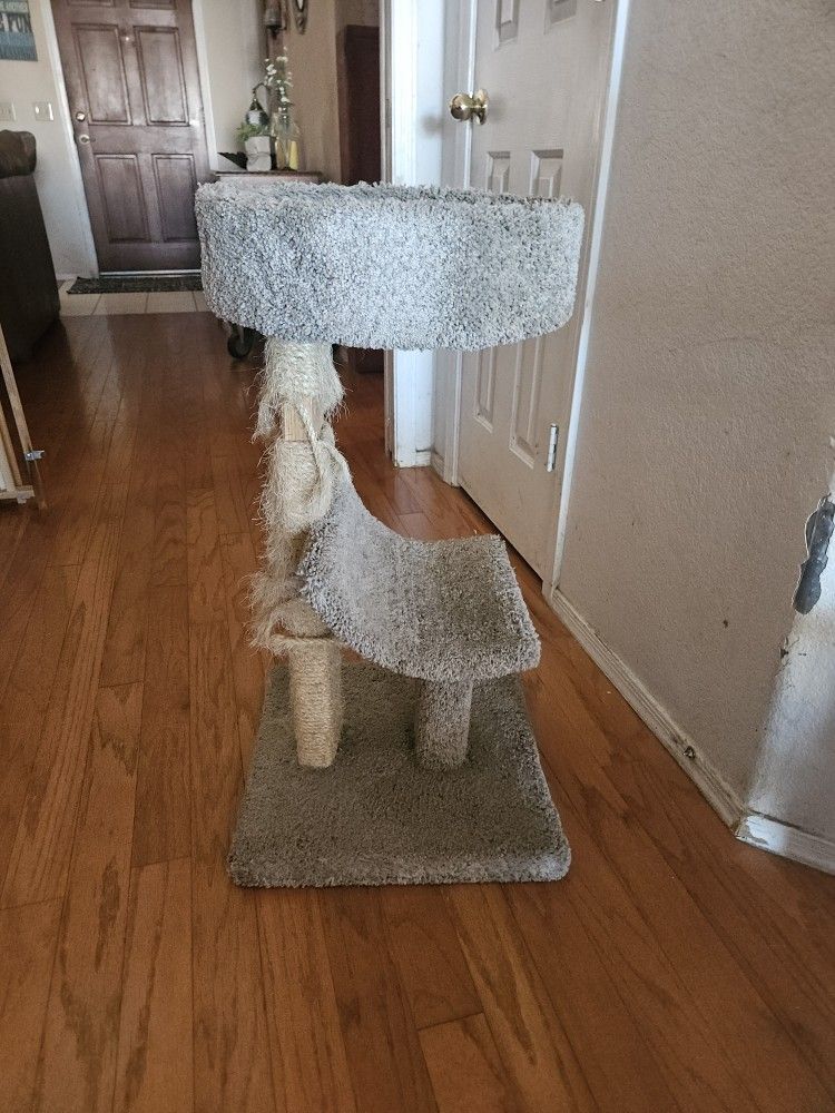 Cat Scratch Tower