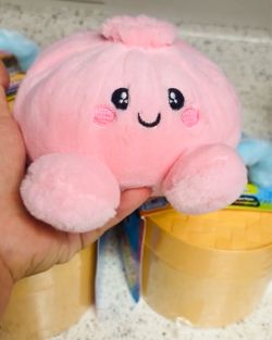RMS rainbow plush dumplings