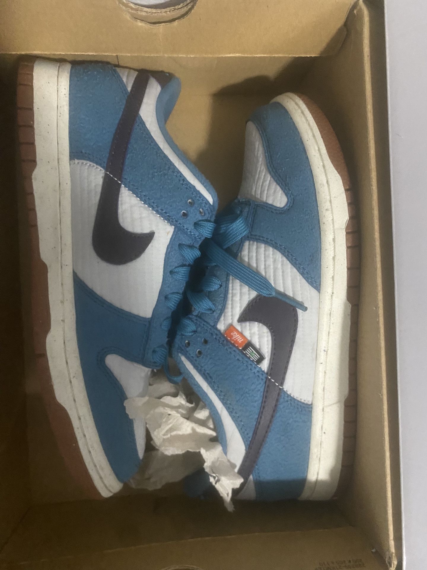 Nike Dunk Low SE (GS)