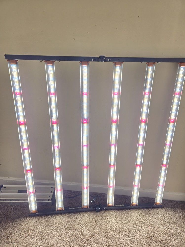 Grow Lights 4x4