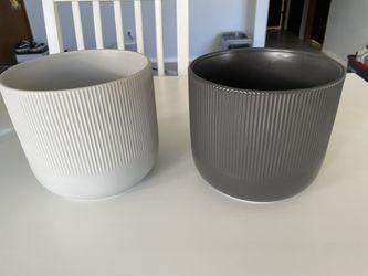 Plant Pots 
