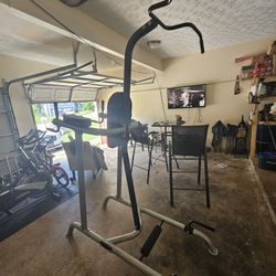 Pull Up Bar