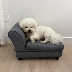 Small Dog Bed . Dog Not Included