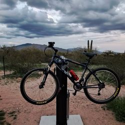 Schwinn Mesh XL
