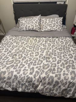 Comforter (bedding)