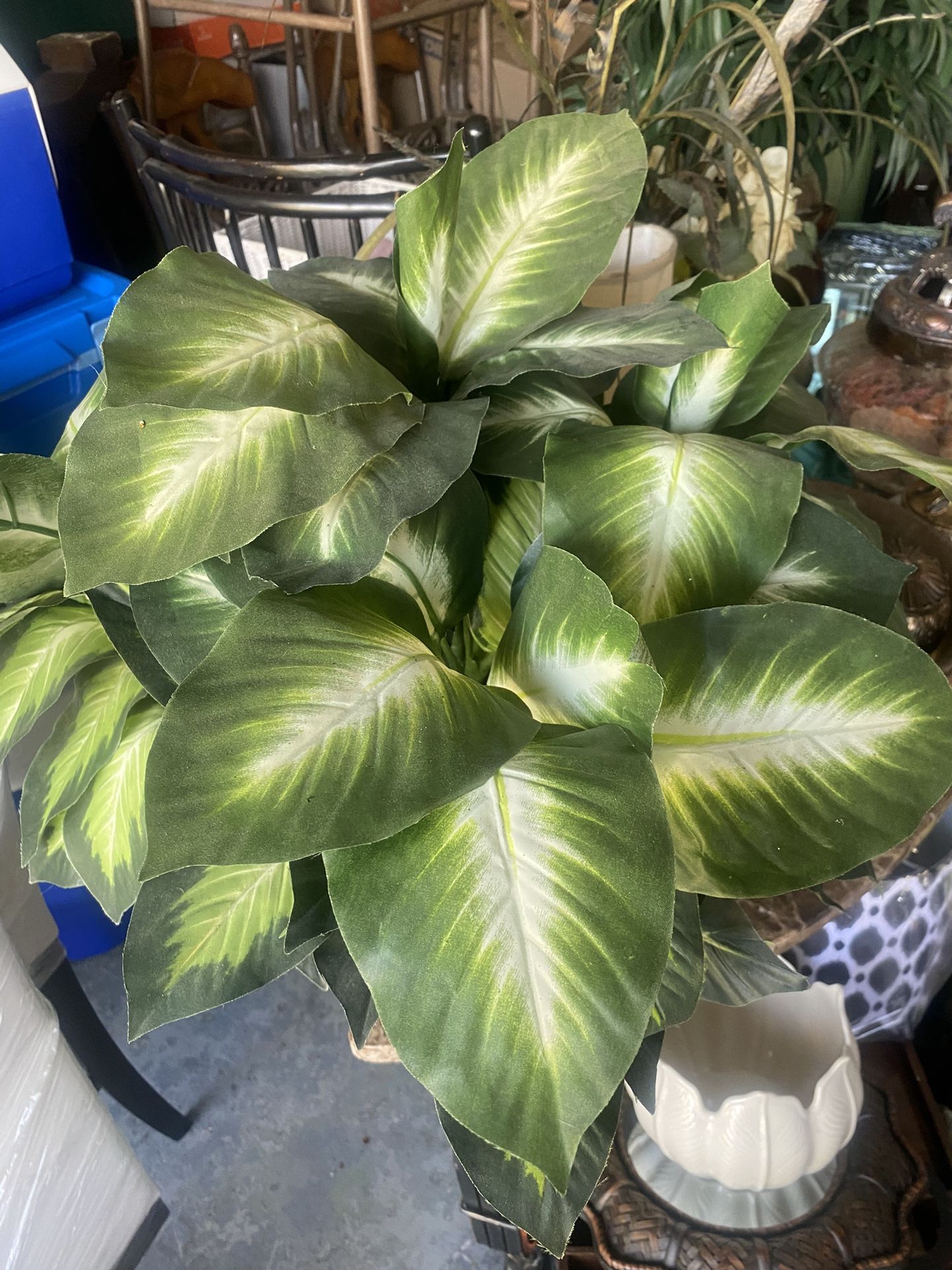 Fake Plant