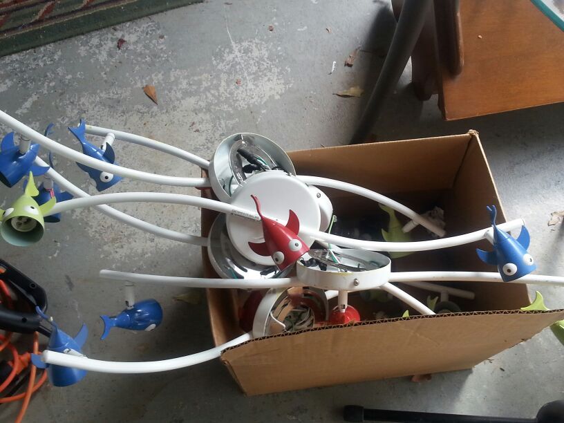 Directional fish lights