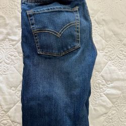 Levi’s 510 Skinny Jeans 