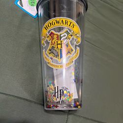 Harry Potter 20oz Insulated Cup W/ Straw