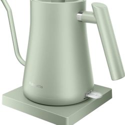 Green Gooseneck Electric Kettle Fabuletta 1500W Ultra Fast Boiling Water Kettle 100% Stainless Steel - New in Box