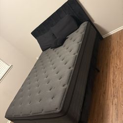 Queen Size Bed 