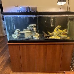 75 Gallon W/ Stand And Accessories 
