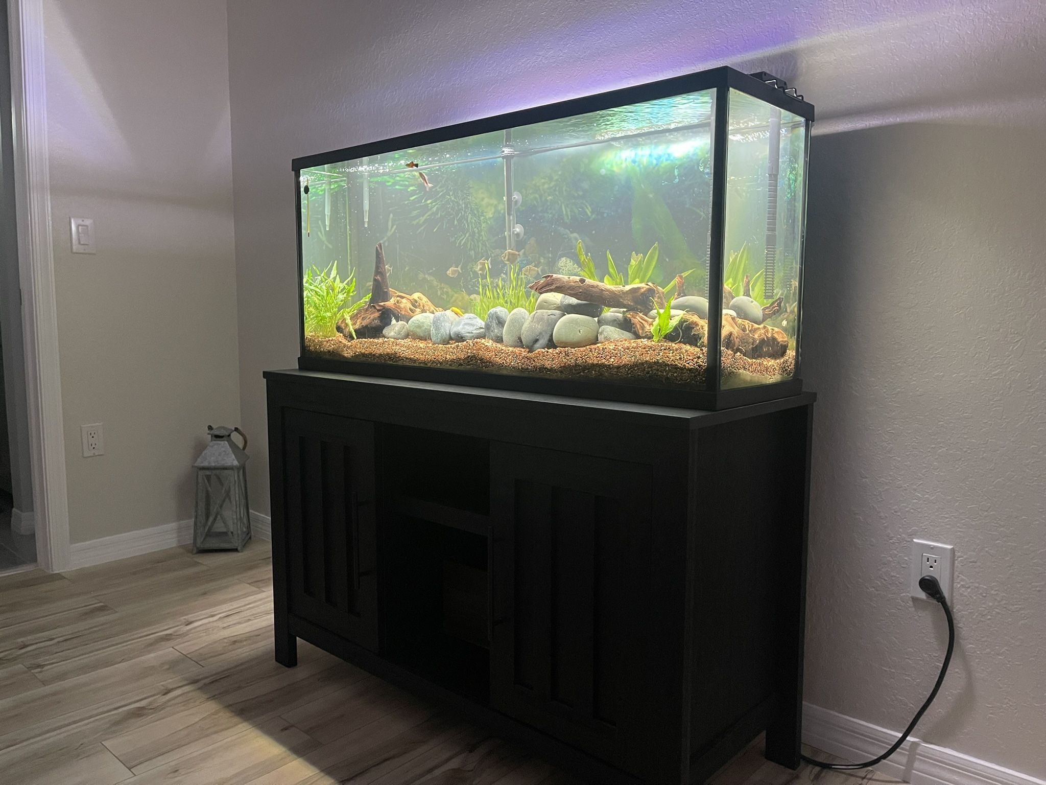 55 Gallons Tank